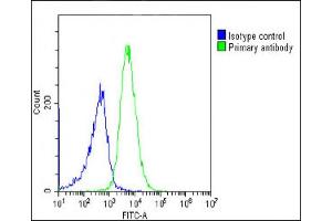 Overlay histogram showing Ramos cells stained with (ABIN652888 and ABIN2842575)(green line).
