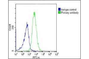 Overlay histogram showing Ramos cells stained with (ABIN652888 and ABIN2842575)(green line). (HLAG anticorps  (AA 62-89))