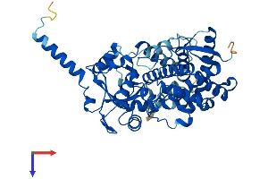 AlphaFold protein structure predicition of Mouse Recombinant Cyp3a25 Protein, UniprotID O09158