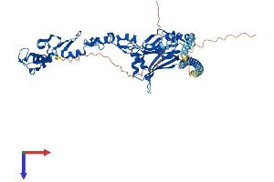AlphaFold protein structure predicition of Human Recombinant TRAF6 Protein, UniprotID Q9Y4K3