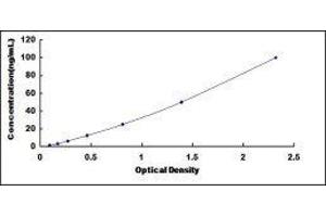 Typical standard curve