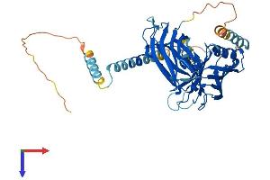 AlphaFold protein structure predicition of Mouse Recombinant Syt1 Protein, UniprotID P46096