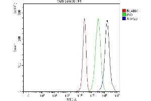 Flow Cytometry analysis of 293T cells using anti-ATP5F1B antibody (ABIN7599866). (Atp5f1b (AA 123-529) anticorps)
