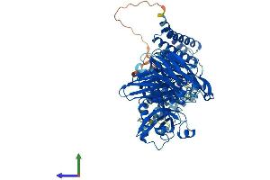 AlphaFold protein structure predicition of Mouse Recombinant Capn7 Protein, UniprotID Q9R1S8