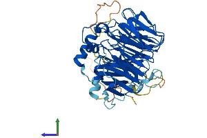 AlphaFold protein structure predicition of Human Recombinant WSB1 Protein, UniprotID Q9Y6I7
