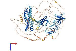 AlphaFold protein structure predicition of Human Recombinant FGD1 Protein, UniprotID P98174