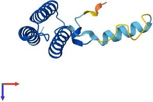 AlphaFold protein structure predicition of Human Recombinant LYRM1 Protein, UniprotID O43325