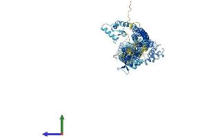 AlphaFold protein structure predicition of Human Recombinant ACTN1 Protein, UniprotID P12814