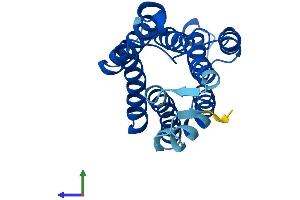 AlphaFold protein structure predicition of Human Recombinant KDELR2 Protein, UniprotID P33947