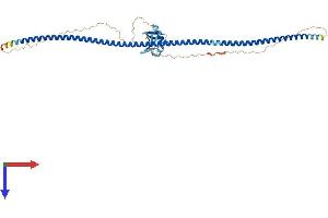 AlphaFold protein structure predicition of Human Recombinant RASSF8 Protein, UniprotID Q8NHQ8