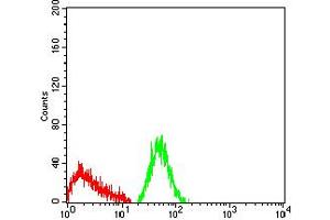 Flow cytometric analysis of Jurkat cells using CD66A mouse mAb (green) and negative control (red).