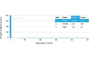 Analysis of Protein Array containing more than 19,000 full-length human proteins using TYRP1-Monospecific Mouse Monoclonal Antibody (TYRP1/3284) Z- and S- Score: The Z-score represents the strength of a signal that a monoclonal antibody (Monoclonal Antibody) (in combination with a fluorescently-tagged anti-IgG secondary antibody) produces when binding to a particular protein on the HuProtTM array. (Tyrosinase-Related Protein 1 anticorps  (AA 257-377))