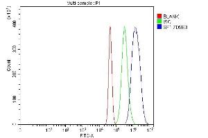 Flow Cytometry analysis of Neuro-2a cells using anti-splicing factor 1 antibody (ABIN7600194). (Splicing Factor 1 anticorps  (AA 160-266))