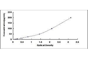 Typical standard curve
