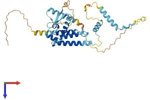 AlphaFold protein structure predicition of Human Recombinant EID3 Protein, UniprotID Q8N140