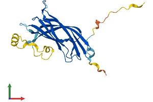 AlphaFold protein structure predicition of Mouse Recombinant B9d1 Protein, UniprotID Q9R1S0