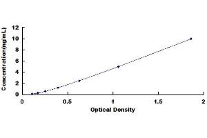 Bifunctional Apoptosis Regulator (BFAR) ELISA Kit