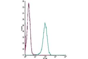 Cell surface detection of LPAR6 by indirect flow cytometry in live intact human THP-1 monocytic leukemia cells: (black line) Cells.