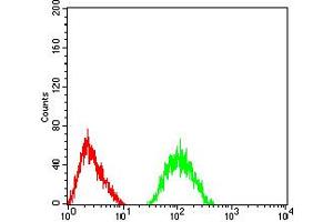 Flow cytometric analysis of SK-N-SH cells using GRIA2 mouse mAb (green) and negative control (red).