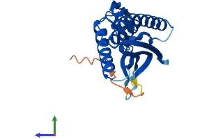 AlphaFold protein structure predicition of Human Recombinant ATG101 Protein, UniprotID Q9BSB4