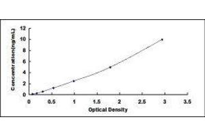 Typical standard curve (Chemerin Kit ELISA)