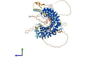 AlphaFold protein structure predicition of Human Recombinant PKP1 Protein, UniprotID Q13835