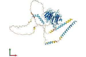 AlphaFold protein structure predicition of Human Recombinant DYNC1I1 Protein, UniprotID O14576