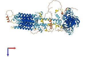 AlphaFold protein structure predicition of Mouse Recombinant Adcy3 Protein, UniprotID Q8VHH7