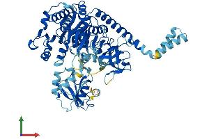 AlphaFold protein structure predicition of Human Recombinant SLC27A4 Protein, UniprotID Q6P1M0