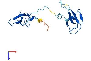 AlphaFold protein structure predicition of Mouse Recombinant Polr2i Protein, UniprotID P60898