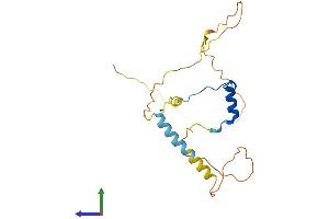 AlphaFold protein structure predicition of Mouse Recombinant Cited1 Protein, UniprotID P97769