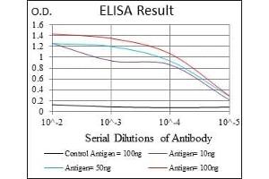 Black line: Control Antigen (100 ng), Purple line: Antigen(10 ng), Blue line: Antigen (50 ng), Red line: Antigen (100 ng),