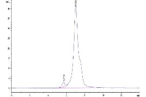 The purity of Rhesus macaque LILRB1/CD85j/ILT2 is greater than 95 % as determined by SEC-HPLC.