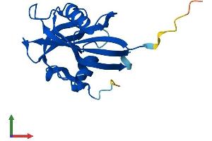 AlphaFold protein structure predicition of Human Recombinant NUDT15 Protein, UniprotID Q9NV35