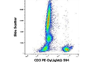 Flow cytometry surface staining pattern of human peripheral whole blood stained using anti-human CD3 (MEM-57) PE-DyLight® 594 antibody (4 μL reagent / 100 μL of peripheral whole blood). (CD3 anticorps  (PE-DyLight 594))