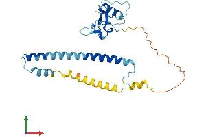 AlphaFold protein structure predicition of Human Recombinant THAP2 Protein, UniprotID Q9H0W7