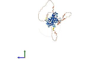 AlphaFold protein structure predicition of Mouse Recombinant Tbx10 Protein, UniprotID Q810F8