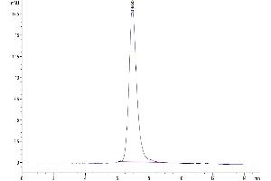 The purity of Cynomolgus Semaphorin 4D is greater than 95 % as determined by SEC-HPLC.