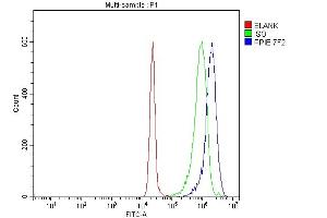 Flow Cytometry analysis of JK cells using anti-Cyclophilin E/PPIE antibody (ABIN7599243). (PPIE anticorps  (AA 1-301))