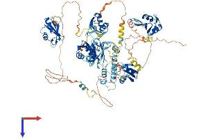 AlphaFold protein structure predicition of Human Recombinant RBM19 Protein, UniprotID Q9Y4C8