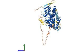 AlphaFold protein structure predicition of Human Recombinant PI4K2A Protein, UniprotID Q9BTU6