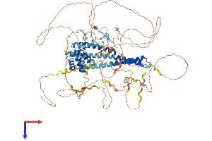 MICAL-Like 1 (MICALL1) (AA 1-870) protein (His tag)