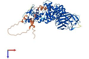 AlphaFold protein structure predicition of Mouse Recombinant Btbd3 Protein, UniprotID P58545