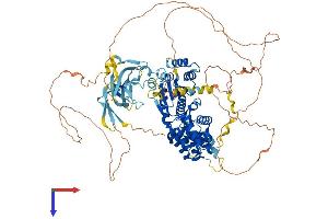 AlphaFold protein structure predicition of Human Recombinant ORC1 Protein, UniprotID Q13415