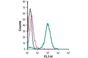Cell surface detection of NPY1R in live intact human THP-1 monocytic leukemia cells: (black line) Cells.