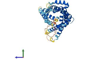AlphaFold protein structure predicition of Mouse Recombinant Slc25a33 Protein, UniprotID Q3TZX3