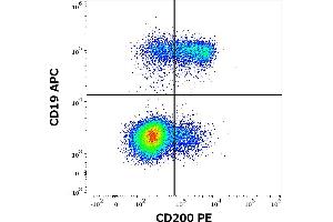Flow cytometry multicolor surface staining of human lymphocytes stained using anti-human CD200 (OX-104) PE antibody (10 μL reagent / 100 μL of peripheral whole blood) and anti-human CD19 (LT19) APC antibody (10 μL reagent / 100 μL of peripheral whole blood). (CD200 anticorps  (PE))