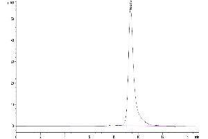 The purity of Human LILRB1 Domain1&2 is greater than 95 % as determined by SEC-HPLC.