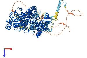 AlphaFold protein structure predicition of Human Recombinant DHX36 Protein, UniprotID Q9H2U1
