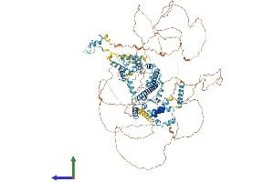 AlphaFold protein structure predicition of Mouse Recombinant Sugp2 Protein, UniprotID Q8CH09